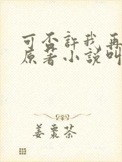 可否许我再少年原著小说叫什么