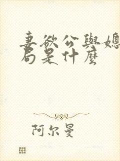 妻欲公与媳大结局是什么