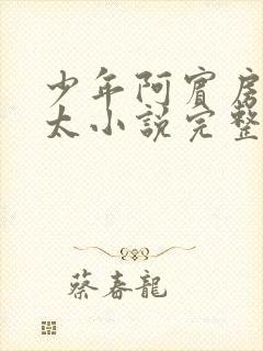 少年阿宾房东太太小说完整免费阅读下载