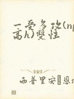 一受多攻(np高h)双性