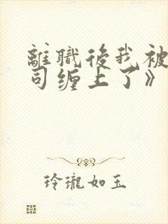 离职后我被前上司缠上了》封面