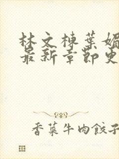 林文栋叶媚小说最新章节更新免费阅读