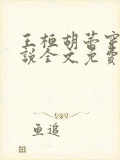 王桓胡蕾穿越小说全文免费阅读