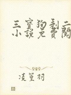 三宝狗剩二姐的小说免费阅读全文