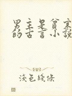 男主是贫寒书生的古言小说