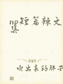 np短篇辣文合集