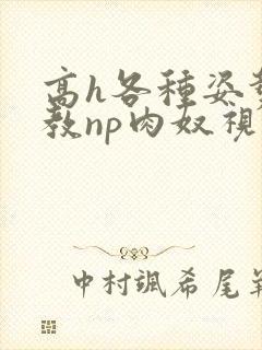 高h各种姿势调教np肉奴视频