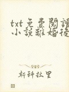 txt免费阅读小说离婚后前夫总是想追我