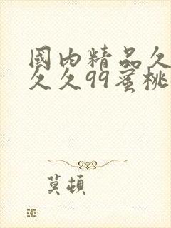 国内精品久久久久久99蜜桃