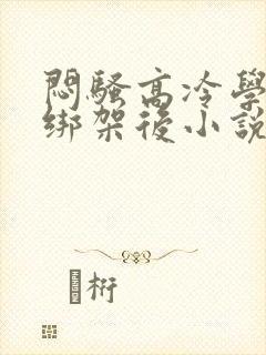 闷骚高冷学霸被绑架后小说封面