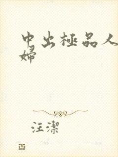 中出极品人妻少妇