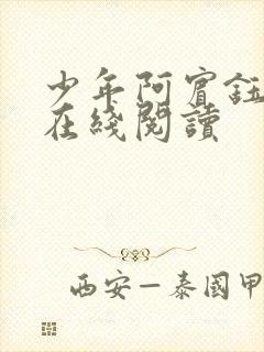 少年阿宾钰慧篇在线阅读