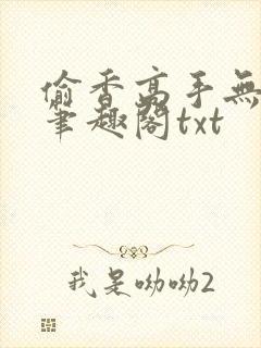 偷香高手无删减笔趣阁txt封面
