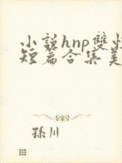 小说hnp双性短篇合集美人