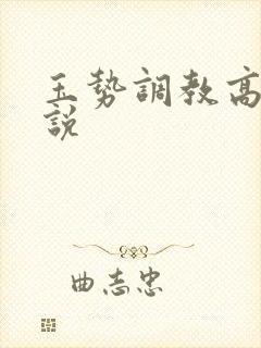 玉势调教高h小说封面