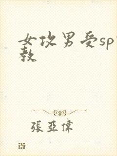 女攻男受sp调教