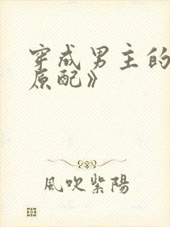 穿成男主的出轨原配》