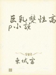 巨乳双性高辣np小说