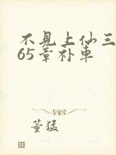 不见上仙三百年65章补车