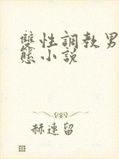 双性调教男奴变态小说