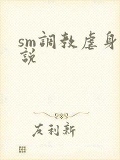 sm调教虐身小说