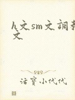 h文sm文调教文