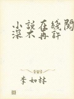 小说在线阅读情深不再许