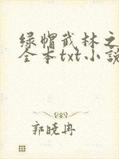 绿帽武林之后宫全本txt小说