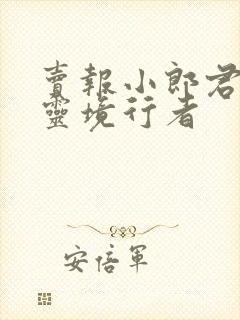 卖报小郎君新书灵境行者