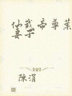 仙武帝尊叶辰的妻子