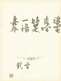 妻一时爽追妻火葬场是啥电视剧