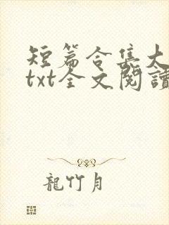 短篇合集大杂烩txt全文阅读
