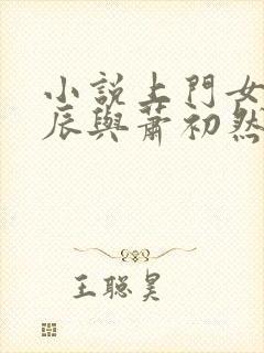 小说上门女婿叶辰与萧初然封面