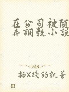 在公司被随意玩弄调教小说