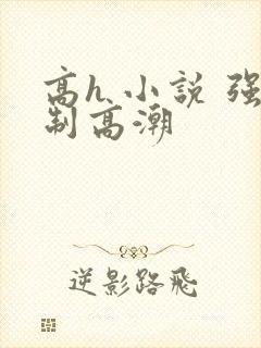 高h 小说 强制高潮