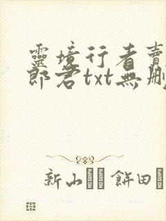 灵境行者卖报小郎君txt无删减封面