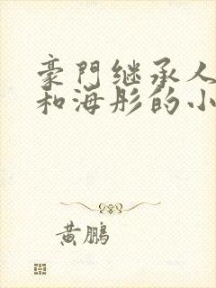 豪门继承人战胤和海彤的小说封面