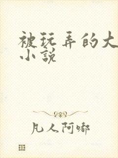 被玩弄的大小姐小说封面