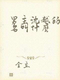 男主沈越的小说名叫什么