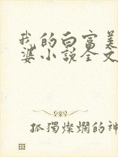我的白富美的老婆小说全文