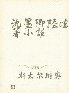 沈墨卿陆沧鸣原著小说