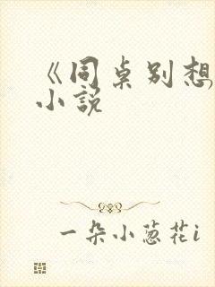 《同桌别想逃》小说