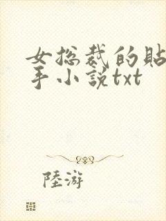 女总裁的贴身高手小说txt