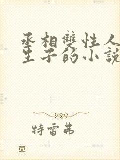 丞相双性人是受生子的小说