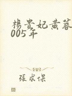 杨贵妃黄蓉版2005年封面