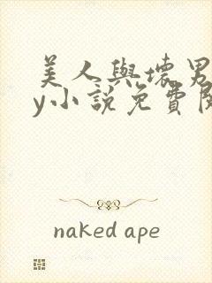 美人与坏男人by小说免费阅读