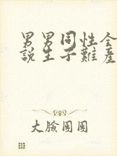 男男同性全肉小说生子难产封面