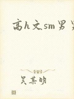 高h文sm男男