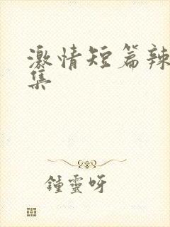 激情短篇辣文合集