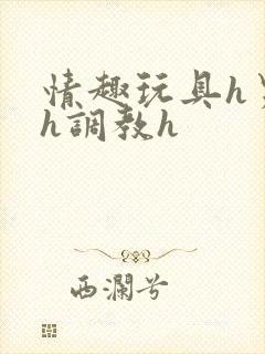 情趣玩具h男男h调教h封面